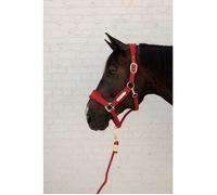 Licol Velvet Rouge - Kentucky