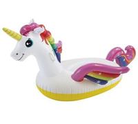 Licorne A Chevaucher