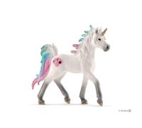 Licorne des mers poulain