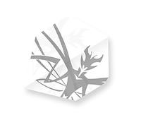 Licorne Unisexe Cœur. 75 Plus Flight-Mantis Argent, Multicolore, Taille Unique