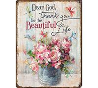 Licpact Plaque rétro en métal avec libellule Dear God Thank You - Décoration murale d'anniversaire - Décoration d'intérieur rétro - Décoration de bar, de garage - 20,3 x 30,5 cm