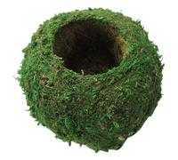 Licsaliwe Planteur à Balle Mousse Naturelle, Pot de Fleur de kokedama 6 Pouces, Plantation Jardinage Bricolage pour décoration Table d'accueil