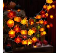 Lidary Guirlande D'Automne, Guirlande Lumineuse Interieur Deco 1.5m10 Led Guirlande Lumineuse A Pile, Pour Automne, La FêTe De La Moisson, Jardin FêTes DéCoration (A)