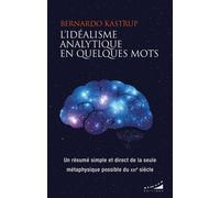 L'idéalisme Analytique En Quelques Mots - Un Résumé Simple Et Direct De La Seule Métaphysique Possible Du Xxie Siècle