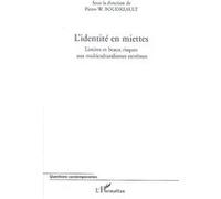 P.-W. Boudreault-L'identité en miettes-Limites et beaux risques aux multiculturalismes extrêmes-Broché