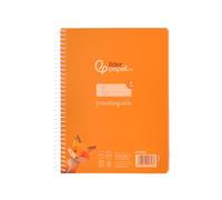 Liderpapel Carnet à spirales DIN A5 avec couverture en plastique 80 h 90 g quadrillé 4 mm couleur orange