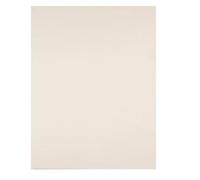 liderpapel CX62 - Pack de 25 cartons 50 x 65 cm Couleur Crème