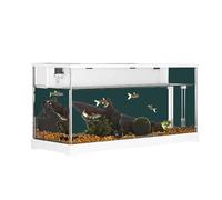 Lidzopas Réservoir rectangulaire pour aquarium, en acrylique transparent, système de filtration circulante, pompe à eau silencieuse pour poissons rouges et petits poissons et décoration de bureau