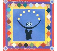 Lie Down in The Grass [Import]