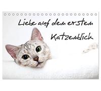 Liebe auf den ersten Katzenblick (Tischkalender 2026 DIN A5 quer), CALVENDO Monatskalender: Verführerische Katzengesichter für das ganze Jahr.