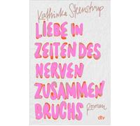Liebe in Zeiten des Nervenzusammenbruchs Roman - Kathinka Steenstrup - DTV - ebook (ePub) - Livre