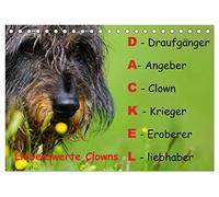 Liebenswerte Clowns (Tischkalender 2026 DIN A5 quer), CALVENDO Monatskalender: Liebenswerte Clowns