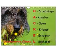 Liebenswerte Clowns (Wandkalender 2026 DIN A4 quer), CALVENDO Monatskalender: Liebenswerte Clowns