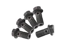 LiebeWH Jeu de Boulons et Rondelles de Frein de Haute qualité avec Filetage soigné, 5 Pièces Boulons Banjo de Moto M10 X 1,25/M10 * 1,0 Mm pour étrier de Frein Adaptés au Maître-cylindre (M10×1mm)