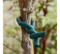 Lien en mousse Ø 6,5 mm pour plante fragile 5 m