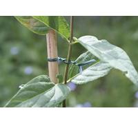 Lien plastique liens NORTENE