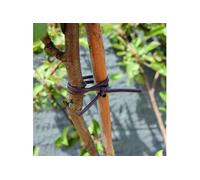 Lien Pvc marron élastique tube 2,5 mm x 40 m