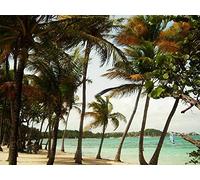 LIEOPZ Paysage de Guadeloupe, France, kit de peinture diamant 5D à faire soi-même, par numéros, décoration murale unique, strass en cristal, 40 x 50 cm