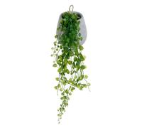 Lierre Artificiel en Pot ""Mailo"" 62cm Gris Clair