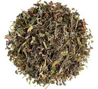 Lierre Terrestre Herbe Qualité Biologique-Gléchome-Rondelotte-Rondette-Glechoma Hederacea