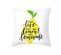 Lieson Housse Coussin 50x50, Coussin Decoration Canapé Jaune Vert Blanc Lot Taie d'oreiller When Life Gives You Lemons, Make Lemonade avec Lemon, Polyester