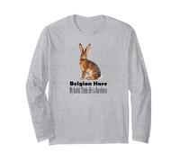 Lièvre Belge, Mon Lapin Pense qu'il est Un Cheval de Course Manche Longue