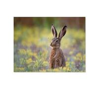 Lièvre d’Europe Debout dans l’Herbe，Jigsaw Puzzle 1000 Pièces pour Adultes Enfants Puzzle en Bois ， Divertissement Bricolage Jouets Jeux De Famille Créatif（75x50cm）-N26