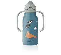 LIEWOOD - Kid's Kimmie Water Bottle - Gourde - 250 ml - arctic sea / ocean view