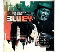 Life Between the Notes by BLUEY [Audio CD] NEUF