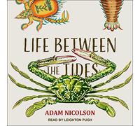 Life Between the Tides