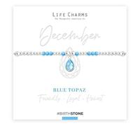 Life Charms Bracelet plaqué argent avec pierre de naissance décembre