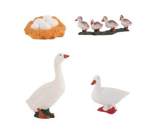 Life Cycle Learning Toy, Duck Growth Model Set, 1.77x0.59 inch Educational Stage Display Kit, Durable Resin Science Figures, Interactive Biology Learning Design, Preschool Kids Study Use