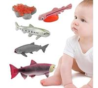 Life Cycle Toys - Figurines animales réalistes | Science Learning & Education Toys | Teaching Aids For Kids 3+, Frog Butterfly Ladybug Growth Stage Models, Preschool Activity Games, Gift For