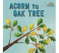 Life Cycles: Acorn To Oak Tree