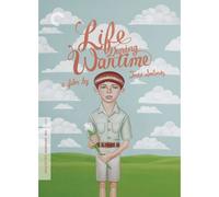 Life During Wartime (The Criterion Collection)