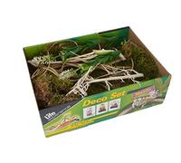 Lucky Reptile Life Experience Kit déco pour Petits terrariums Nano