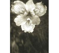 Life Extreme - Guide Illustré De Nouvelles Formes De Vies