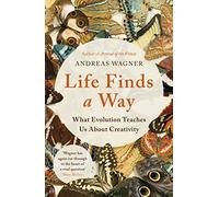 Life Finds a Way: What Evolution Teaches Us About Creativity