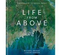 Life from Above Epic Stories of the Natural World by Michael Bright & Chloe Sarosh Michael Bright Chloe Sarosh (Auteur)