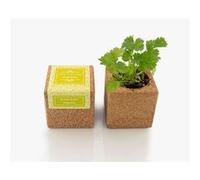 life in a bag - grow cube aimanté coriandre G