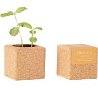 Life in a bag Grow Cube Tournesol - 1 pcs