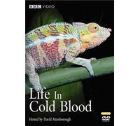 Life in Cold Blood