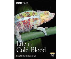 Life in Cold Blood