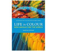 Life In Colour