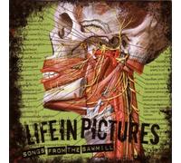 Life in Pictures - Songs from the Sawmill