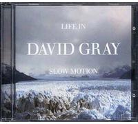 Gray, David - Life in Slow Motion [Import]