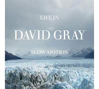 Life in Slow Motion by David Gray