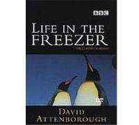 Life in the Freezer – David Attenborough – Import anglais – BBC (Région 2)