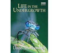 Life in the Undergrowth