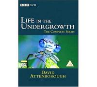 Life in the Undergrowth – David Attenborough – Série complète – Import anglais – BBC